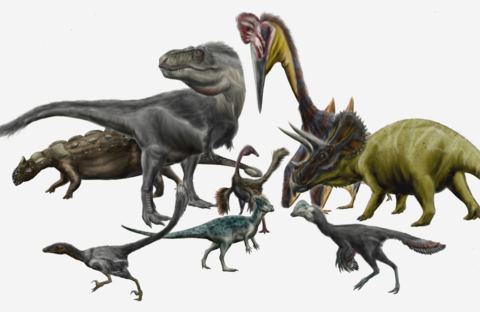 Sind Dinosaurier viel jünger als angenommen?