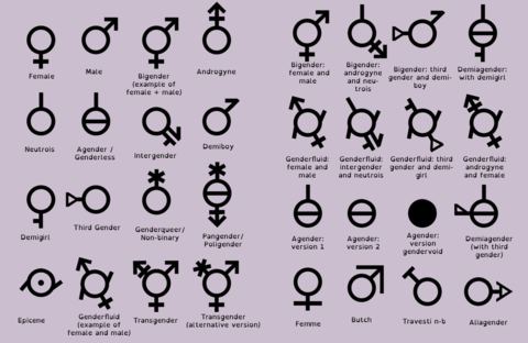 Verein Deutsche Sprache: „Schluss mit dem Gender-Unfug!“