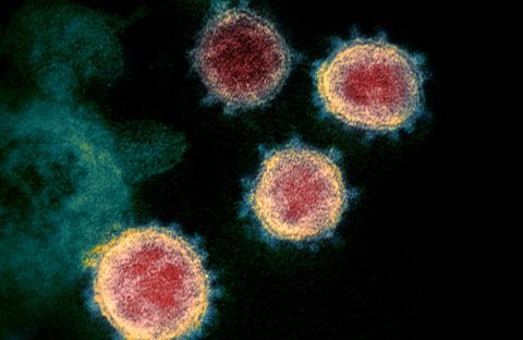 Coronavirus: Fakten, Hintergründe und hilfreiche Tipps