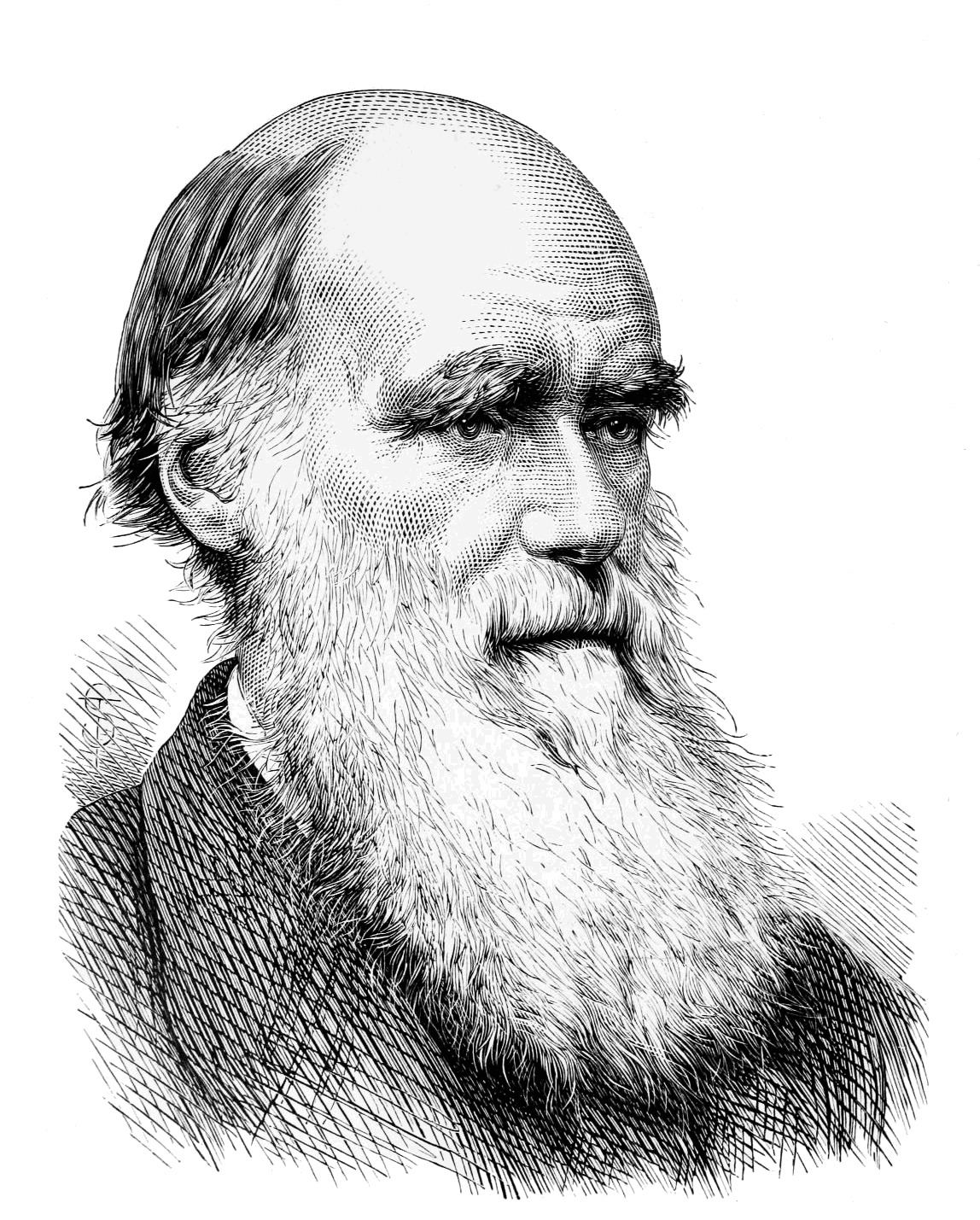 charles-darwin