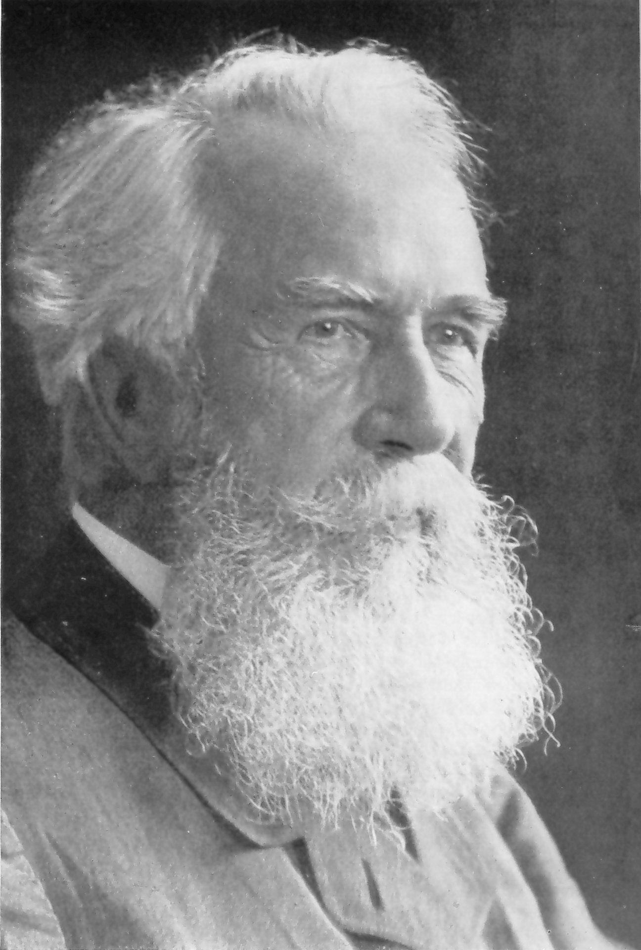 ernst_haeckel