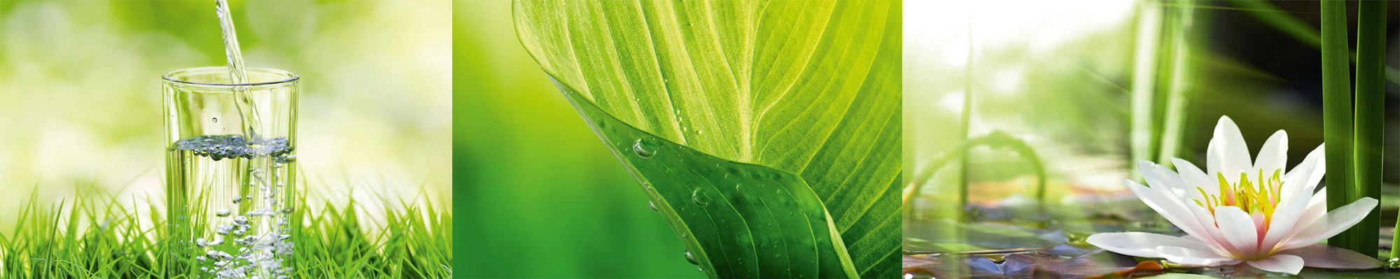 wasser-elixier-des-leben