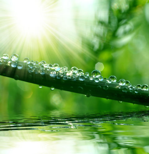 wasser-quelle-des-lebens