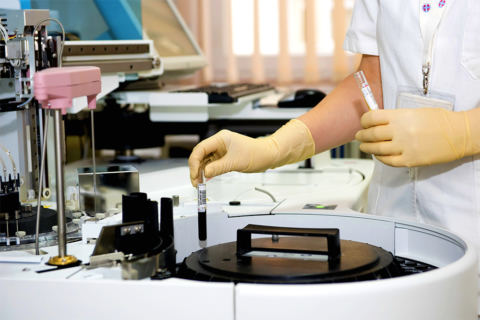 News_Kein-Gen-fuer-Homosexualitaet