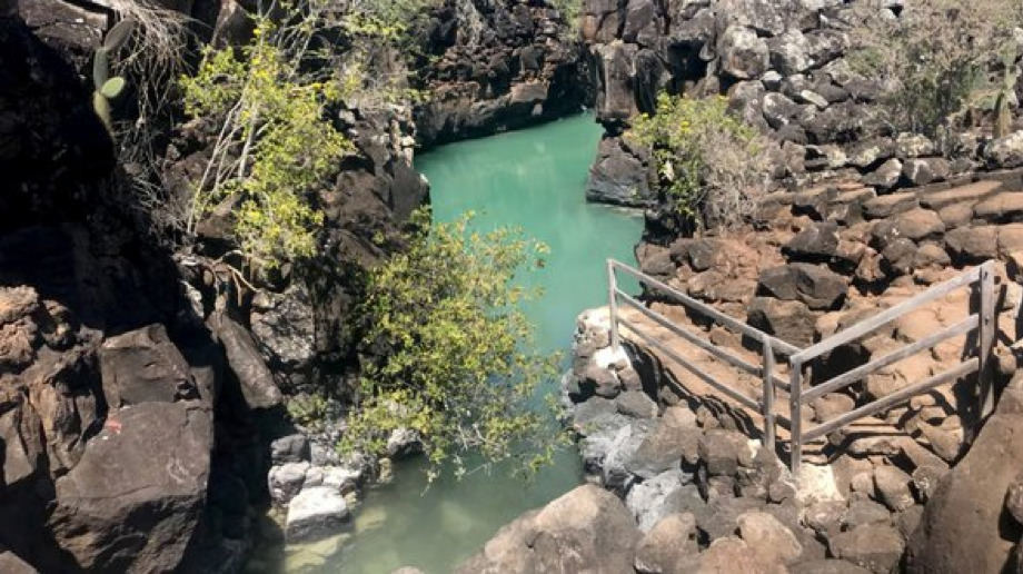 kreationismuszentrum