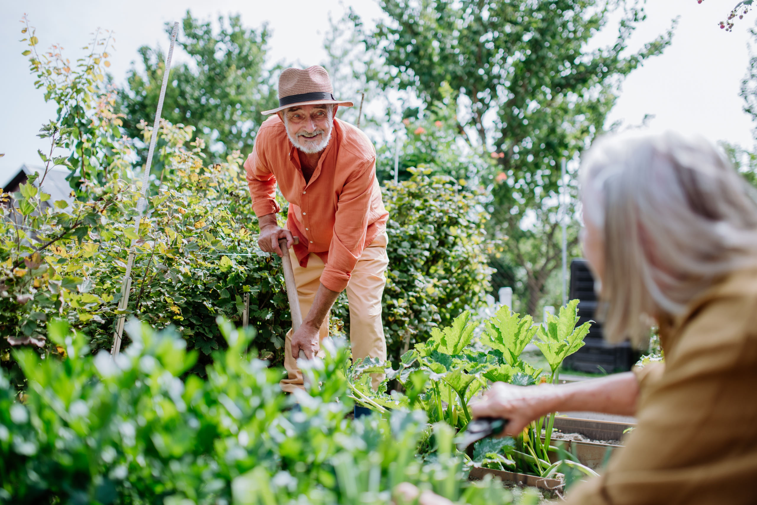 gartenarbeit-ehepaar