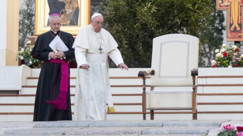 53236580688_a321d0d82e_o