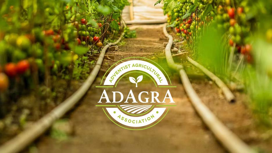 adagra