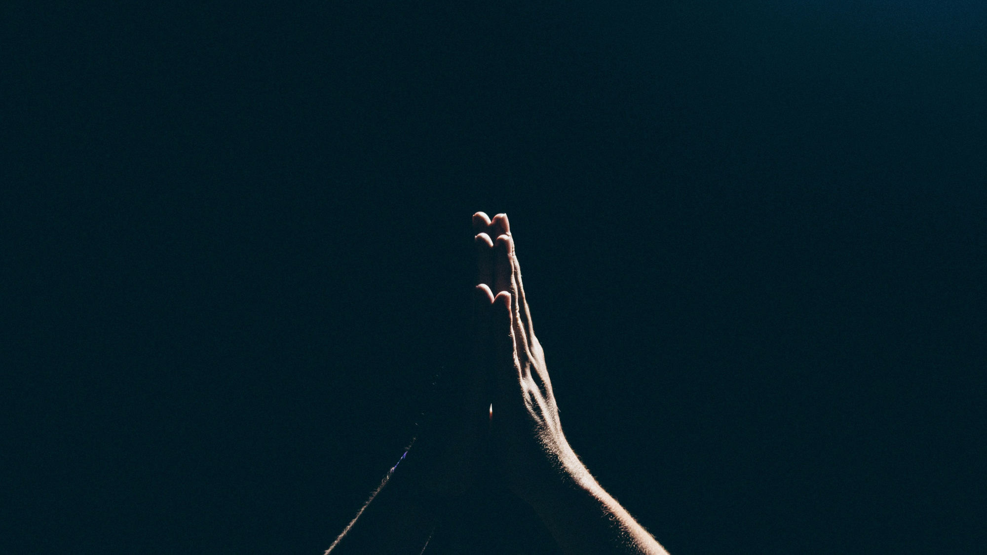 amaury-gutierrez-rzmQOng8h8I-unsplash