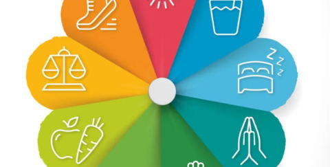 sustain-me-erhalte-mich-ein-handbuch-der-natuerlichen-heilmittel-barbara-oneill